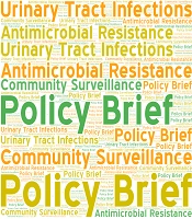 A Policy Brief: Addressing Urinary Tract Infections and Antibiotic Resistance in Qazvin, Iran