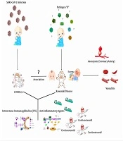 Kawasaki Disease and COVID-19 in Children: Is There a Causal or Usual Relationship?