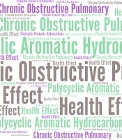 Polycyclic Aromatic Hydrocarbons and Their Effects on the Occurrence of Chronic Obstructive Pulmonary Disease (COPD): A Review