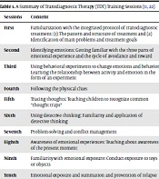 Effectiveness of Transdiagnostic Therapy in Behavioral-Emotional Disorder and Excessive Mind Wandering in Children with Attention Deficit Hyperactivity Disorder: A Randomized Controlled Trial