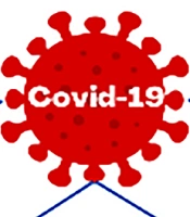 Effect of COVID-19 and Air Pollution on the Risk Factors Attributed to COPD, Cardiovascular, and Respiratory Diseases