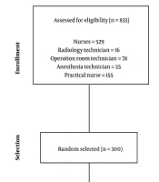 Interventional Management Actions: A Semi-experimental Study on Improving Patient Safety Culture