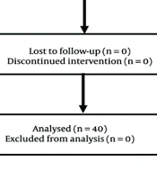 The Effect of a Home Care Program on Self-efficacy in Patients with Type 2 Diabetes: A Randomized Clinical Trial