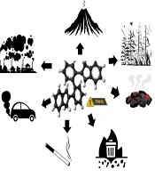 Polycyclic Aromatic Hydrocarbons Exposure and Its Impact on Increased Carcinogenic Risk and COPD: A Review