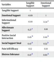 Social Support and Pain Self-efficacy as Predictors of Distress Tolerance in Cancer Patients
