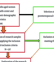 Self-care During Menopause: Women's Perspectives on the Use of Mobile Phone Applications