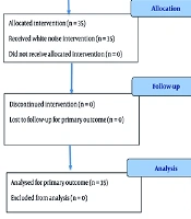 Effect of White Noise on Stress and Hemodynamic Parameters Among Cardiac Patients in Pakistan: A Quasi-experimental Study