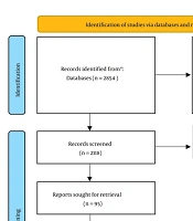 Sex Distribution and Epidemiological Patterns in Febrile Seizures: A Systematic Review