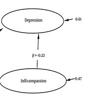 The Mediating Role of Self-compassion in the Relationship Between Moral Distress and Mental Health Symptoms (Stress, Anxiety, and Depression) Among Intensive Care Unit Nurses: A Structural Equation Modeling Study