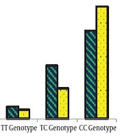 Jentashapir Journal of Cellular and Molecular Biology 