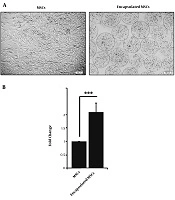 Jentashapir Journal of Cellular and Molecular Biology