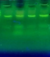 Jentashapir Journal of Cellular and Molecular Biology 