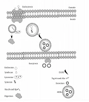 Exosome a Story From Waste to Become a Gold Mine