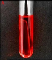 Isolation and Characterization of Lactobacillus paracasei ST1 from Region of Azerbaijan “Shoor” Dairy Product and Study of Anticancer and Anti-Proliferation Activities by Supernatant of Strain on HCT116 Colorectal Tumor Cells In Vitro