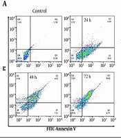 Dendrosomal Nano-Curcumin Modulates P-Glycoprotein Activity and Induces Apoptosis in Wild Type and P53-Mutant Breast Cancer Cell Lines