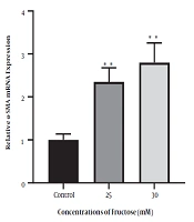Effect of High Concentrations of Fructose on the Expression of TGF-β and α-SMA Genes in Human Hepatic Stellate Cells