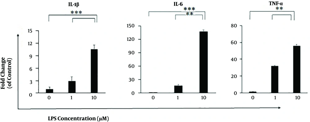 Effect of LPS stimulation on the expression of IL-1β, IL-6, and TNF-α in AGS cells. The cells were stimulated with 1 and 10 µg/mL LPS for 6 h and the expression levels of genes were evaluated using qRT-PCR analysis. Data were normalized to β-actin and were expressed as means ± SEM. All experiments were performed in triplicate. **, P < 0.01; ***, P < 0.001. Effect of LPS stimulation on the expression of IL-1β, IL-6, and TNF-α in AGS cells. The cells were stimulated with 1 and 10 µg/mL LPS for 6 h and the expression levels of genes were evaluated using qRT-PCR analysis. Data were normalized to β-actin and were expressed as means ± SEM. All experiments were performed in triplicate. **, P < 0.01; ***, P < 0.001.