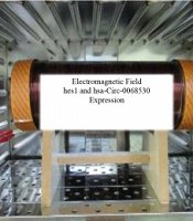 Pulsed Magnetic Fields Cause hes1 and hsa-Circ-0068530 Expression Changes in Gastric Cancer Cell Line and Human Normal Fibroblast Cell Line