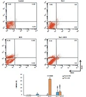 Anti-cancer Properties of Myricetin Against HT-29 Colon Cancer Cells Through Regulation of RIPK1/RIPK3 Signaling Pathway