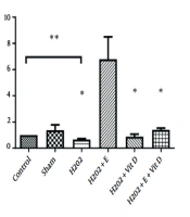 The Effect of Aerobic Training and Cholecalciferol on IGF-I and IGFBP-3 in the Bone Tissue of Rats Poisoned with Hydrogen Peroxide