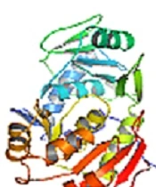Cover image of the article: In silico Analysis of Molecular Phylogeny of Genes Involved in the Synthesis of Bioactive Compounds in Cyanobacteria Strains Located in Tehran Cascade