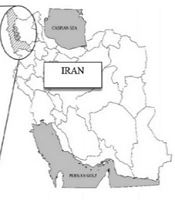 Molecular Detection of Coxiella burnetii by Nested PCR Method in Cattle and Buffalo Raw Milk, Urmia Region, Iran