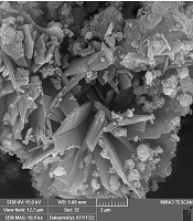 Evaluation of the Effect of Magnetic Nanoparticles-Loaded 5-Fluorouracil (5-FU) on Colon Cell Line LS174T
