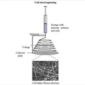 Application of Cell Electrospinning in Regenerative Medicine