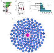 Cover image of the article: Association of MIR4435-2HG Expression with TP53 Mutation, Estrogen Receptor Activity, and Poor Prognosis in Breast Cancer