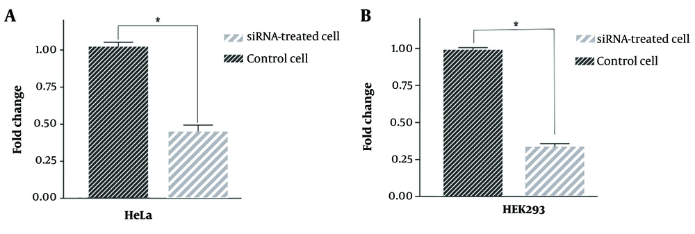 Quantitative analysis of hypoxia-inducible factor 1α (HIF1α) messenger ribonucleic acid (mRNA) expression after downregulation using si-HIF-1α. Statistical analysis showed a significant decrease in the expression of HIF1α after 48 h both in human embryonic kidney (HEK)293 (A); and HeLa cells (B); *: P < 0.05. Quantitative analysis of hypoxia-inducible factor 1α (HIF1α) messenger ribonucleic acid (mRNA) expression after downregulation using si-HIF-1α. Statistical analysis showed a significant decrease in the expression of HIF1α after 48 h both in human embryonic kidney (HEK)293 (A); and HeLa cells (B); *: P < 0.05.