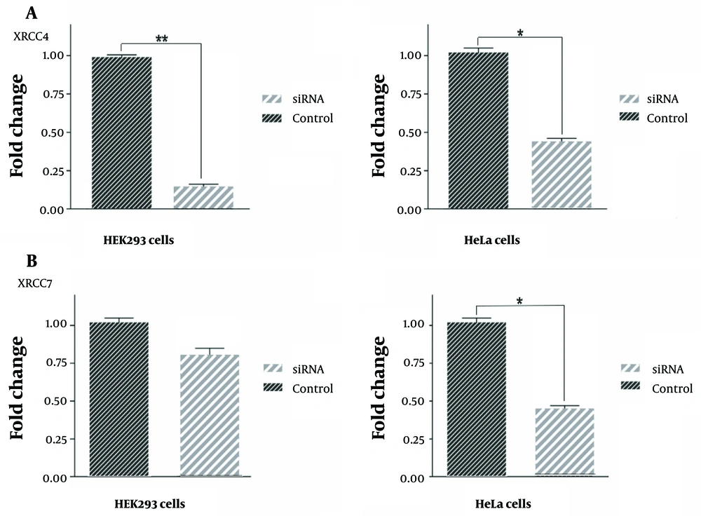 Inhibition of hypoxia-inducible factor 1α (HIF1α) leads to the downregulation of XRCC4 and XRCC7 genes. Quantitative analysis of XRCC4 and XRCC7 fold changes after downregulating of HIF1α gene using the small interfering ribonucleic acid (siRNA). Our results showed a significant decrease in the expression of the XRCC4 gene after transfection of both human embryonic kidney (HEK)293 and HeLa cell lines with si-HIF-1α (A); interestingly, these data did not replicate for the XRCC7 gene (B). Changes in gene expression compared to the control sample after the siRNA transfection in HEK293 cells had a slight decrease, which was not significant. However, these changes in HeLa cells showed a significant decrease; *: P < 0.05, **: P < 0.01. Inhibition of hypoxia-inducible factor 1α (HIF1α) leads to the downregulation of XRCC4 and XRCC7 genes. Quantitative analysis of XRCC4 and XRCC7 fold changes after downregulating of HIF1α gene using the small interfering ribonucleic acid (siRNA). Our results showed a significant decrease in the expression of the XRCC4 gene after transfection of both human embryonic kidney (HEK)293 and HeLa cell lines with si-HIF-1α (A); interestingly, these data did not replicate for the XRCC7 gene (B). Changes in gene expression compared to the control sample after the siRNA transfection in HEK293 cells had a slight decrease, which was not significant. However, these changes in HeLa cells showed a significant decrease; *: P < 0.05, **: P < 0.01.
