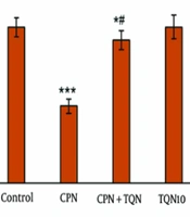 Cover image of the article: Thymoquinone Effects on the Expression of p62 Gene in Cisplatin-Induced Testicular Damage in Mice