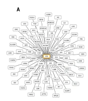 In Silico Identification of Phenylacetaldehyde's Impact on Downregulating Malignancy-Associated Genes: A Promising Therapeutic Approach Against Colorectal Cancer