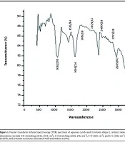 Traditional Medicinal Potential of Carob Seed Extract (Ceratonia siliqua): Antimicrobial, Antioxidant, and Antiproliferative Effects on MCF-7 Cancer Cells