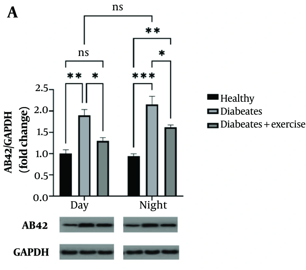 This study examines the effect of continuous exercise in the morning and evening on amyloid-beta (Aβ-42) protein expression in mice with metabolic syndrome (MetS). Amyloid-beta protein levels were assessed using Western blot analysis, with GAPDH serving as a loading control. The samples were collected 48 hours after the final exercise session. The results show significant differences in Aβ-42 expression between the exercise groups, with statistical significance indicated by asterisks corresponding to P-values of * P < 0.05, ** P < 0.01, *** P < 0.001, **** P < 0.0001. These findings highlight the influence of exercise timing on Aβ-42 levels in the context of MetS. This study examines the effect of continuous exercise in the morning and evening on amyloid-beta (Aβ-42) protein expression in mice with metabolic syndrome (MetS). Amyloid-beta protein levels were assessed using Western blot analysis, with GAPDH serving as a loading control. The samples were collected 48 hours after the final exercise session. The results show significant differences in Aβ-42 expression between the exercise groups, with statistical significance indicated by asterisks corresponding to P-values of * P < 0.05, ** P < 0.01, *** P < 0.001, **** P < 0.0001. These findings highlight the influence of exercise timing on Aβ-42 levels in the context of MetS.