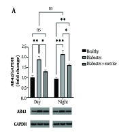 Chronobiological Effects of Exercise on Brain Cholesterol Homeostasis, Endoplasmic Reticulum Stress Pathway and Aβ-42 Accumulation in the Hippocampus of HFD-Fed Mice