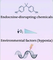 A Review of Cellular and Molecular Mechanisms Involved in the Development of Uterine Fibroids