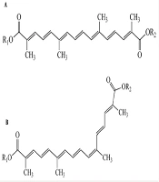 Crocin and Multiple Sclerosis: Exploring the Therapeutic Potential of Saffron's Bioactive Compound; A Literature Review