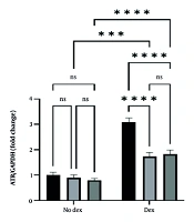 The Effect of Two Types of Aerobic Exercise on the Regulation of Mechanisms Related to DNA Damage and Cell Death in the Hearts of Doxorubicin-Treated Mice