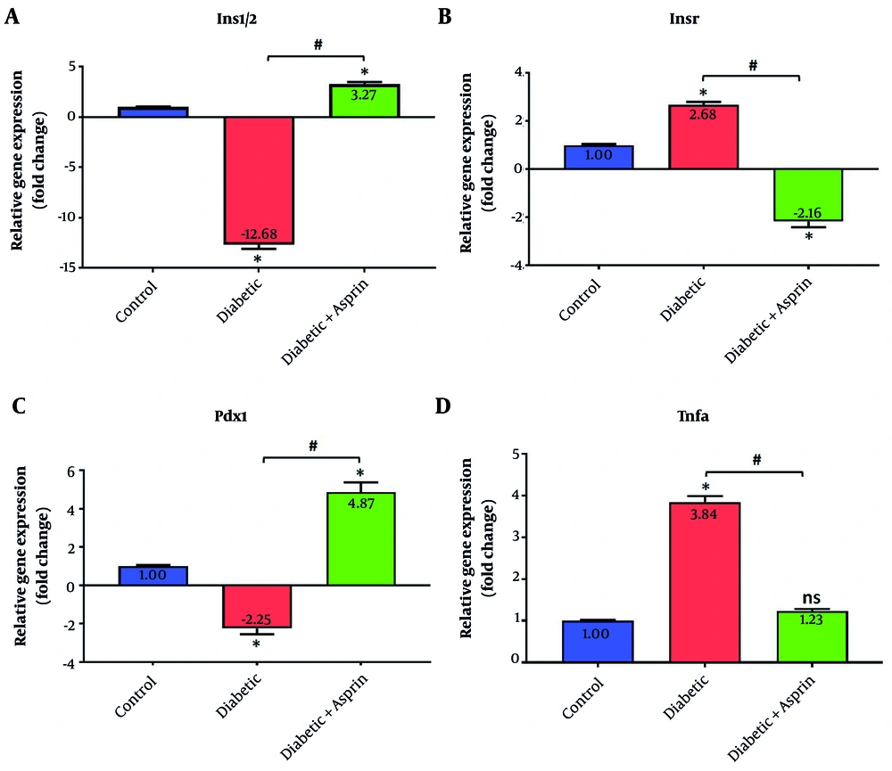 Impact of aspirin administration on pancreatic gene expression in diabetic rats. Quantitative RT-PCR was used to determine the relative mRNA expression of (A) Ins1/2, (B) Insr, (C) Pdx1, and (D) Tnfα. Diabetes induced profound changes in the transcription of insulin-regulatory and inflammatory genes compared with the control group. Administration of aspirin mitigated these effects by enhancing the expression of insulin-related genes and downregulating pro-inflammatory markers. Results are presented as fold change (mean ± SEM). *P < 0.05 vs control; #P < 0.05 vs diabetic. Abbreviation: ns, not significant. Impact of aspirin administration on pancreatic gene expression in diabetic rats. Quantitative RT-PCR was used to determine the relative mRNA expression of (A) Ins1/2, (B) Insr, (C) Pdx1, and (D) Tnfα. Diabetes induced profound changes in the transcription of insulin-regulatory and inflammatory genes compared with the control group. Administration of aspirin mitigated these effects by enhancing the expression of insulin-related genes and downregulating pro-inflammatory markers. Results are presented as fold change (mean ± SEM). *P < 0.05 vs control; #P < 0.05 vs diabetic. Abbreviation: ns, not significant.