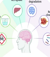 Antisense Oligonucleotides as Precision Therapies for Neurodegenerative Diseases: A Narrative Review