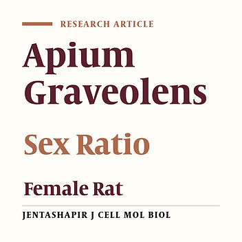 The Effects of Aqueous Extract of Celery Leaves (Apium Gravelens) on the Delivery Rate, Sexual Ratio, and Litter Number of the Female Rats