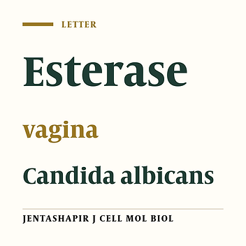 Extracellular Esterase Secretion by Vaginal Isolates of Candida Albicans