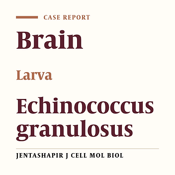 Unusual Presentation of Hydatid Cyst: Case Reports for Neurosurgery (Three Cases)