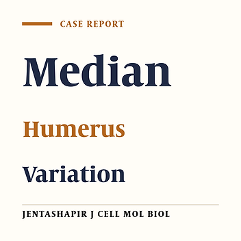 A Rare Variation of the Human Median Nerve Direction