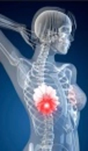 The Diagnostic Value of miR-155 Expression in the Serum of Patients with Breast Cancer According to Molecular Subtypes of Breast Cancer