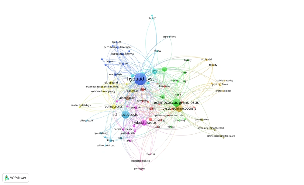 The network of the most used keywords in hydatid disease literature The network of the most used keywords in hydatid disease literature