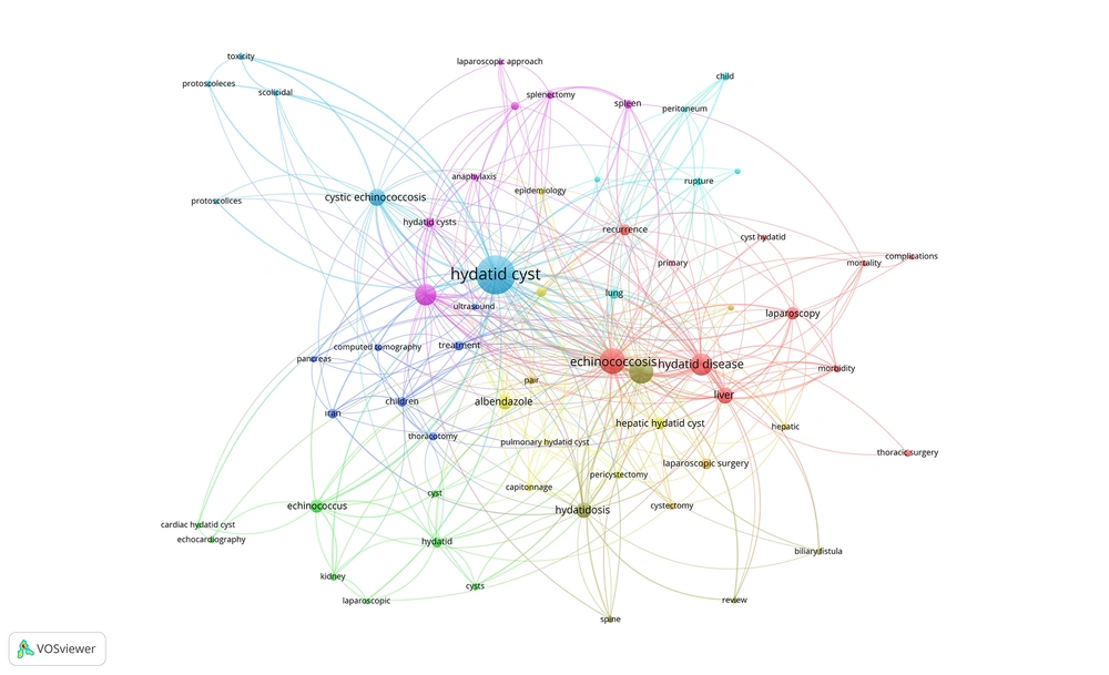 The most used keywords network in the literature related to hydatid cyst surgery The most used keywords network in the literature related to hydatid cyst surgery