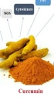 Cover image of the article: Curcumin as an Herbal Inhibitor Candidate Against HTLV-1 Protease