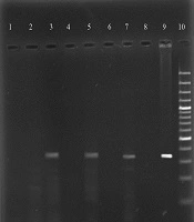 Jundishapur Journal of Microbiology